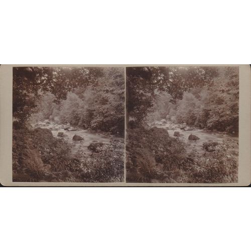 Vintage/Antique Stereoview Card - River Teign, Holy Street, Devon, England