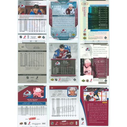 Milan Hejduk 13x card lot incl Inserts