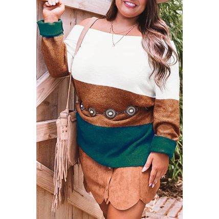 Brown Plus Size Ribbed Trim Color Block Sweater
