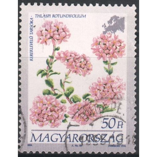Hungary 1994 - SG4203 - 50ft - Pennycress - used