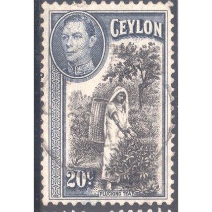 Ceylon stamps 1938 - SG391 - 20c Plucking Tea KGV1 - used 4