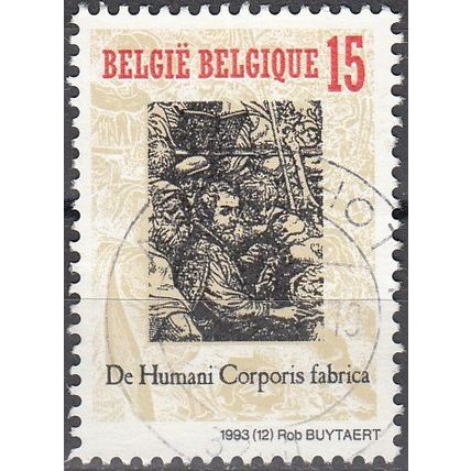 Belgique 1993 Michel 2579 O Cote (2008) 0.30 € André Vésale Cachet rond