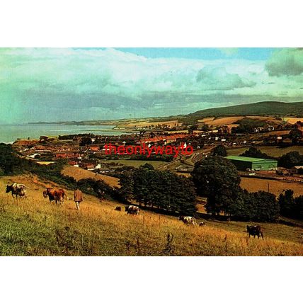 Watchet, Near Minehead, Somerset, Plastichrome Colourpicture, Postcard