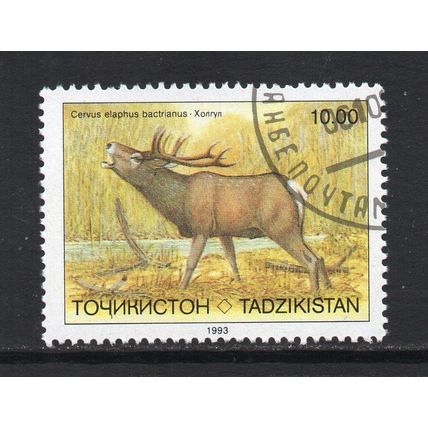 Tajikistan - 1993 - 10r Endangered Mammals, Used