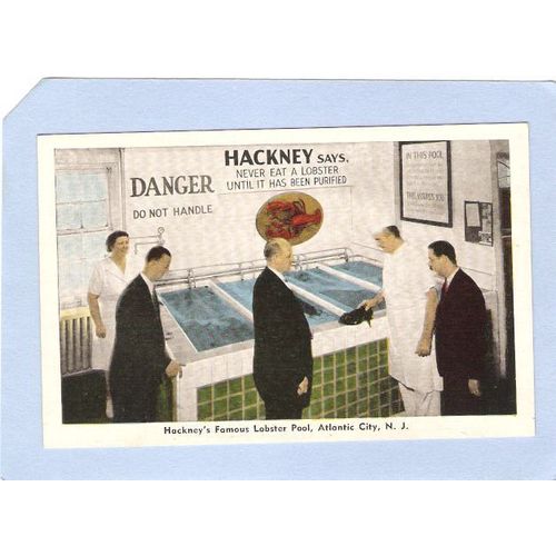 NJ Atlantic City Hackneys Famous Lobster Pool nj_box1~159