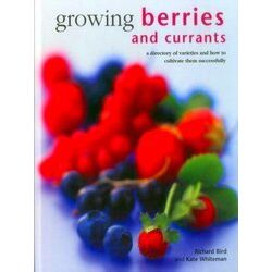 Growing Berries And Currants