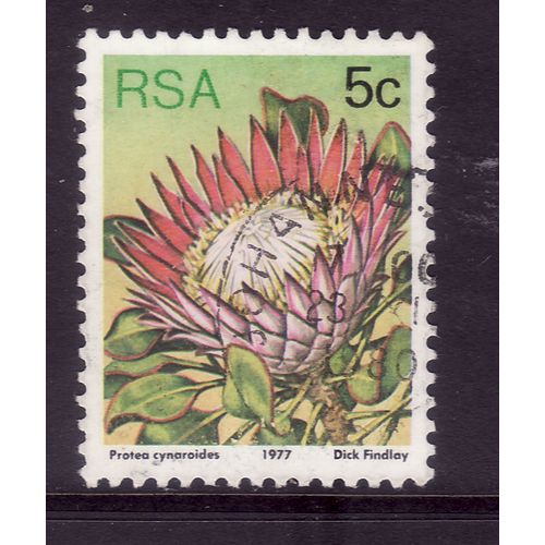 SOUTH AFRICA 1977 SUCCULENTS 5c P CYNAROIDES SG 418 FINE USED#5