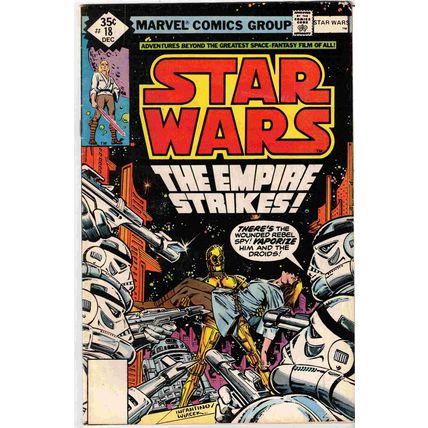 STAR WARS # 18 ( 1978 )