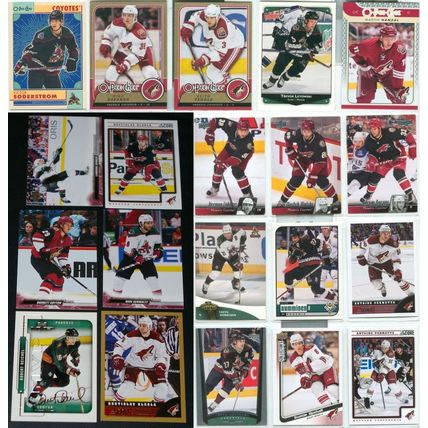 Phoenix Coyotes 47x card lot incl Inserts
