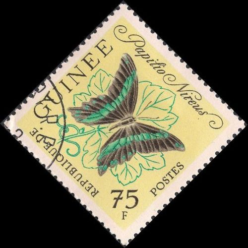 GUINEA, BUTTERFLY, Papilio nireus, yellow 1963, 75F