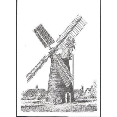 Lincoln - Ellis's Mill - windmill - art postcard c.1980s