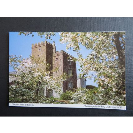 Blossom Time at Sizergh, Sizergh Castle, Kendal, Cumbria Postcard
