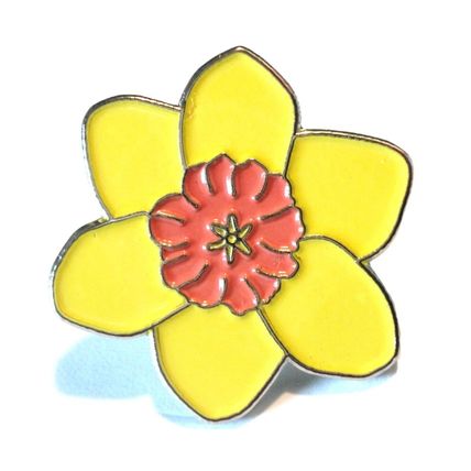Yellow Daffodil National Flower of Wales Welsh Symbol Metal Badge St Davids Day