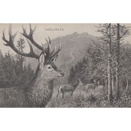 Inselberg German Deer Antique Postcard