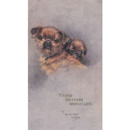 Tucks Postcard Maude West Watson Young Griffons Bruxellios