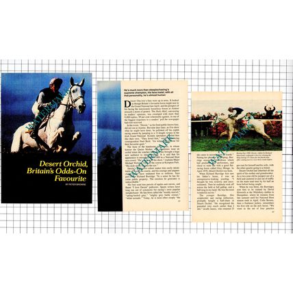 Desert Orchid Horse - 1991 Small Article