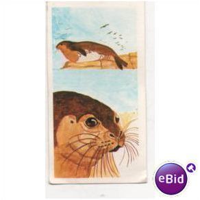 Vintage 1978 Brooke Bond Tea card Vanishing Wildlife No.2 Mediterranean MonkSeal