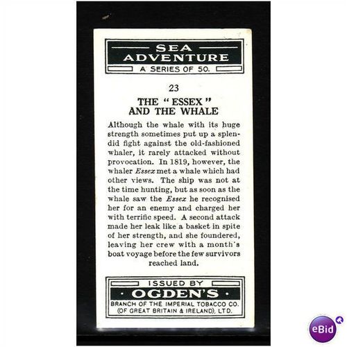 Ogden's Cards 1939 Sea Adventure No23 The Essex and the Whale Fine Mint
