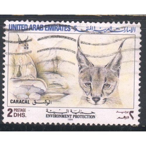 UAE stamps 1994 - SG463 - 2d multi - Caracal - used