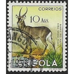 1953 SG 503 - #3 fine used (o) - ANIMAL