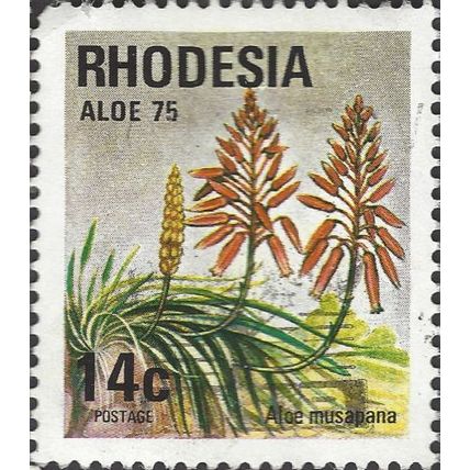 RHODESIA, FLOWER, Aloe Musapana, grey 1975, 14c