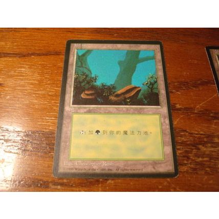 Magic The Gathering, MTG, 3- Cards, 1996, Different, Japanese, FOREST, nm