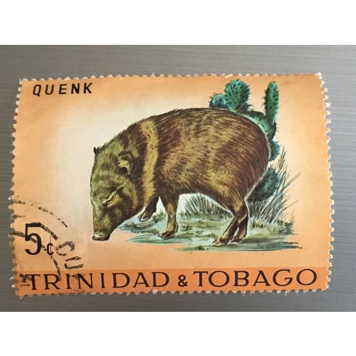 Trinidad & Tobago 1971 Wildlife 5c Quenk Used SG393 Sc197 stamp Collared Peccary