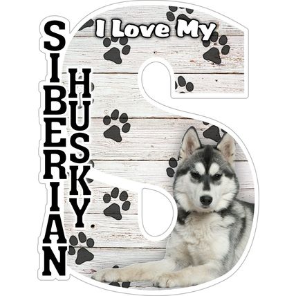 I Love My Siberian Husky Fridge Magnet