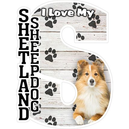 I Love My Shetland Sheepdog Fridge Magnet
