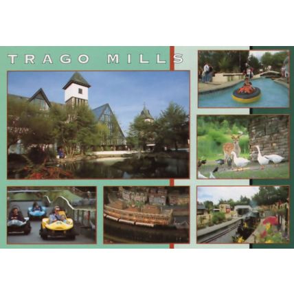 Trago Mills South Devon Department Stores Postcard