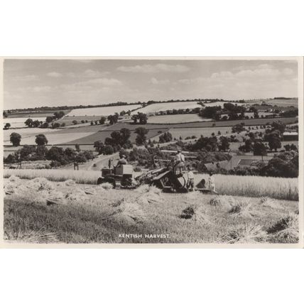 Farmer Ploughing Kentish Harvest Antique Kent Real Photo Postcard