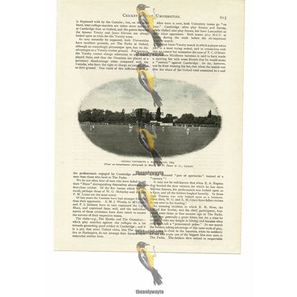 Oxford University v Australians Cricket In 1893, Book Illustration (Print), 1894