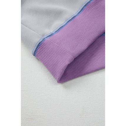 Blue Exposed Seam Colorblock Patchwork Ribbed Trim Pullover Sweatshirt