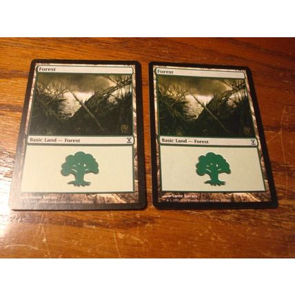 Magic The Gathering, MTG, 6- Cards, 1993-2006, FOREST, nm