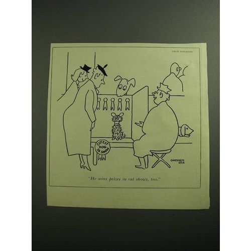 1951 Cartoon by Gardner Rea - He Wins Prizes in Cat Shows, Too