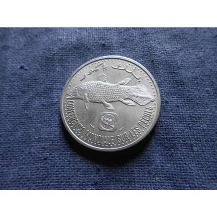 1992 Rare COMOROS ISLANDS 5 FRANCS COIN. ( Coelacanth Fish )