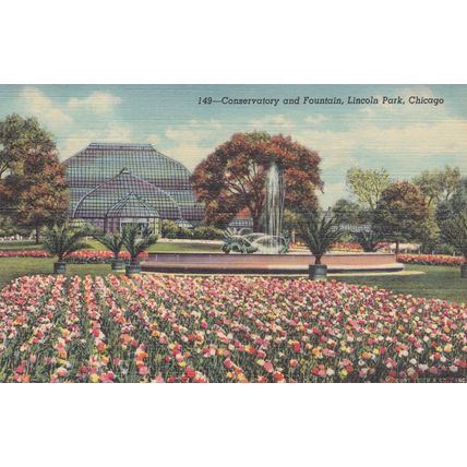 Chicago - Lot of 7 - Linen Era Postcards - Vintage - Conservatory, Tribune Tower