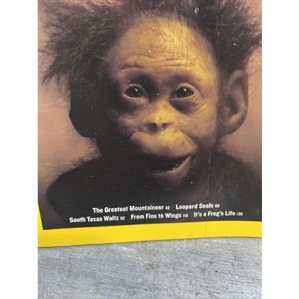 National Geographic Magazine November 2006 Earliest Child Collectable