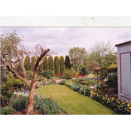 England Rear Garden Photograph used crease