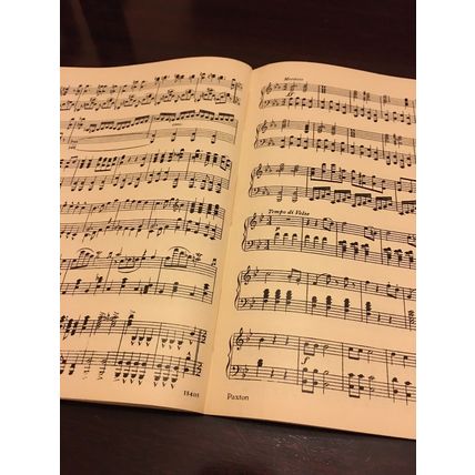 Johann Strauss, Famous Waltzes. The star original sheet music edition. 1932