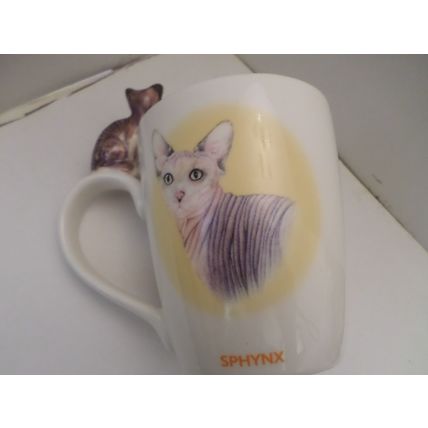 AIYARA Homestore - Sphynx Cat -Designed By Alicia Batgero - hairline crack on