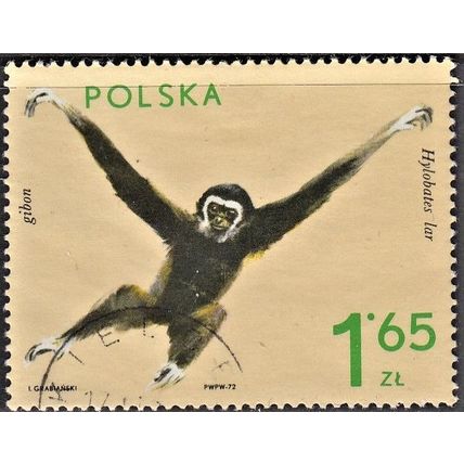 Poland, 1972, 1.65Zt Gabon, SG 2151 (Scott 1892), used