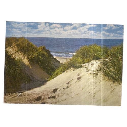 SAND DUNE IN ZANDVOORT, HOLLAND ..used vintage postcard 1973 postmark =