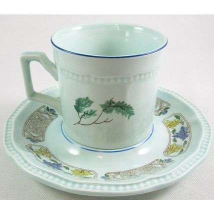 RARE Kensington Staffordshire Ironstone Cup & Saucer Set, Java Bird, England