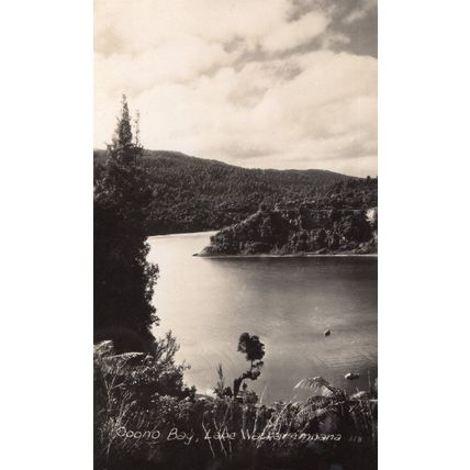 Opono Bay Lake Waikaremoana New Zealand Plain Back Postcard Photo