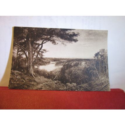 SILENCE IN SOLEMN WOODS painting by John MacWhirter unused antique postcard =