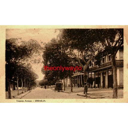 Empress Avenue, Ismailia, Egypt, Postcard
