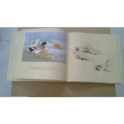 BENINGFIELD'S ENGLISH FARM by Gordon Beningfield (Hardback) Viking VINTAGE 1988