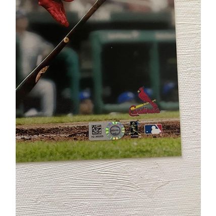 Kolten Wong Signed Autographed Glossy 8x10 Photo St. Louis Cardinals : MLB Auth