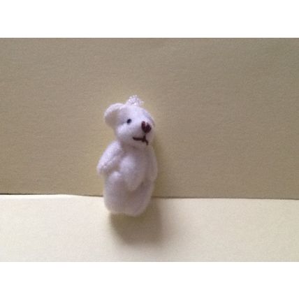Creamy White Teddy - Miniature